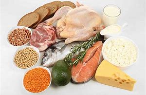 پروتئین حیوانی بهتر است یا پروتئین گیاهی