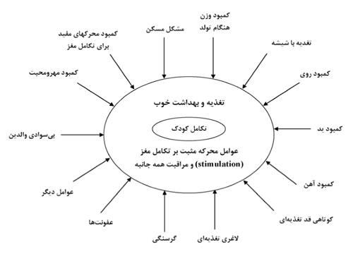 avamelmoaserbarroshmaghzkoodakan