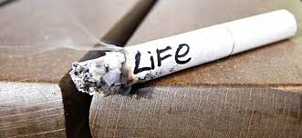 cigar