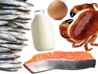 غذاهائی که سرشاز از ویتامین B12 هستند