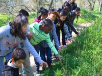 khalaghyatdarkoodakan