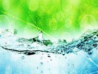 rafaludegihavabanano