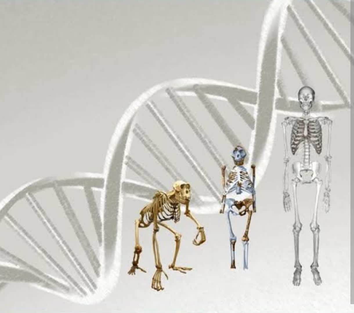 ژنتیک و تکامل