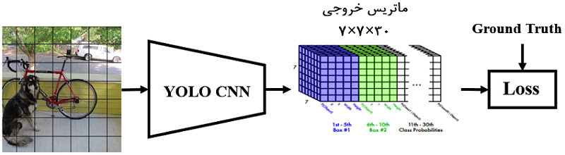 systemyolo