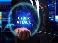 hamlehcyberi