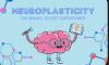 نوروپلاستیسیتی، انعطاف‌پذیری مغز، تقویت حافظه، سالمندان، تمرین‌های مغزی، پوزیت ساینس، دوپامین، استیل‌کولین، نورمن دوچ، مغزی که خود را تغییر می‌دهد